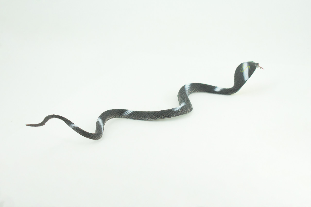 Cobra, Black and White Snake, Rubber Reptile, Educational, Realistic Hand Painted, Figure, Lifelike Model, Figurine, Replica, Gift,      9 Inches     F3594 B363