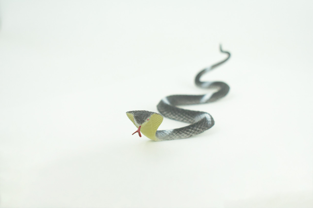 Cobra, Black and White Snake, Rubber Reptile, Educational, Realistic Hand Painted, Figure, Lifelike Model, Figurine, Replica, Gift,      9 Inches     F3594 B363