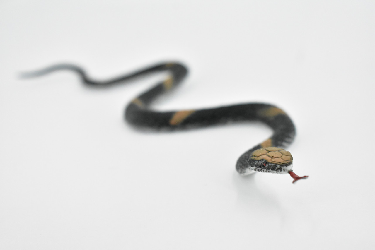 Copperhead Snake, Copper Head, Rattlesnake, Rubber Reptile, Educational, Realistic Hand Painted, Figure, Lifelike, Model, Figurine, Replica, Gift, Toy,   10 Inches   F3596 B363