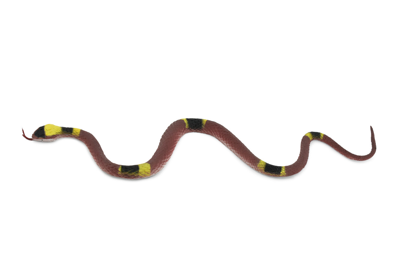 Snake, Coral snake, Texas,  Rubber Reptile, Educational, Realistic Hand Painted, Figure, Lifelike Model, Figurine, Replica, Gift,      10"     F3597 B363