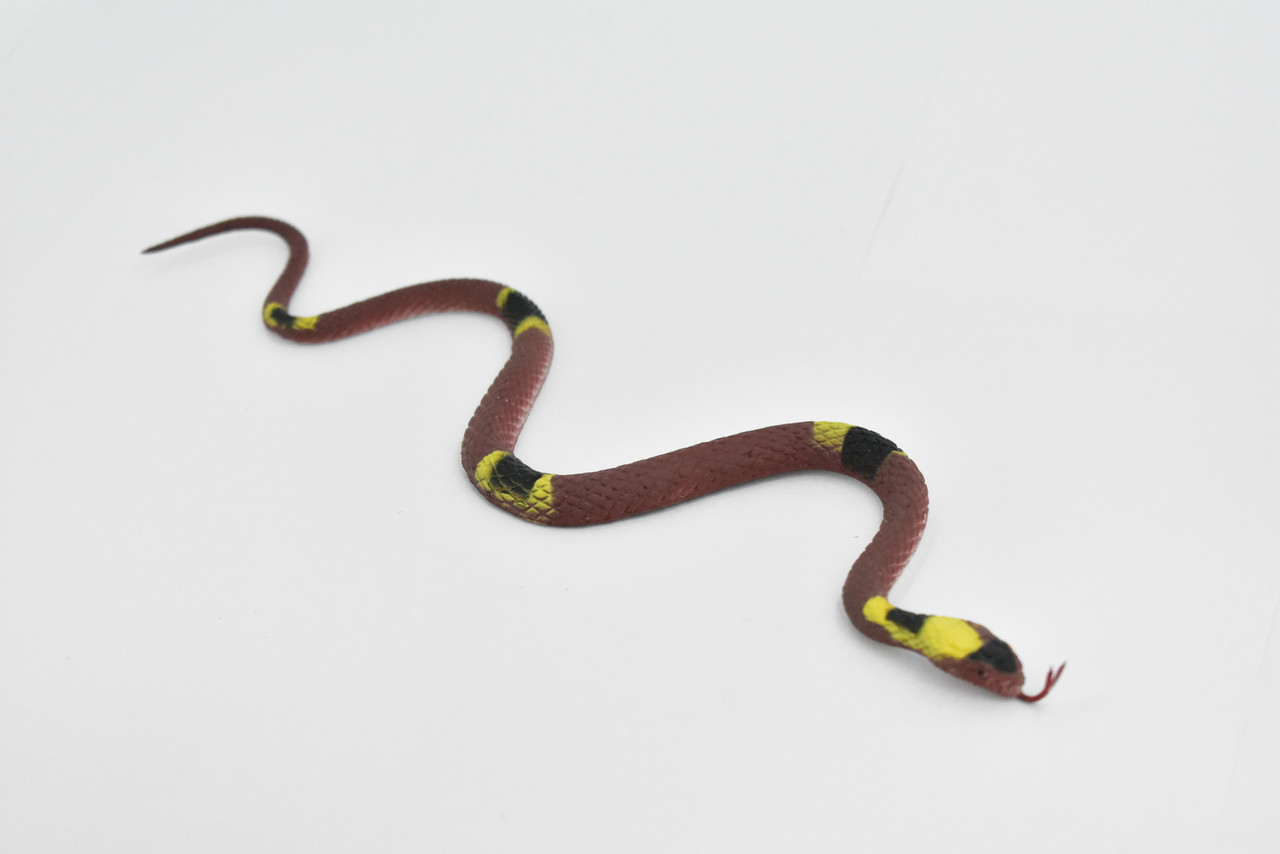 Snake, Coral snake, Texas,  Rubber Reptile, Educational, Realistic Hand Painted, Figure, Lifelike Model, Figurine, Replica, Gift,      10"     F3597 B363