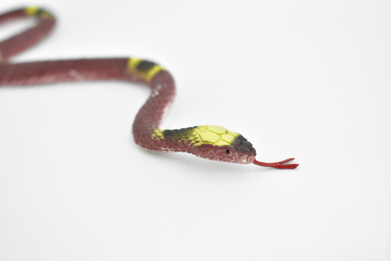 Snake, Coral snake, Texas,  Rubber Reptile, Educational, Realistic Hand Painted, Figure, Lifelike Model, Figurine, Replica, Gift,      10"     F3597 B363