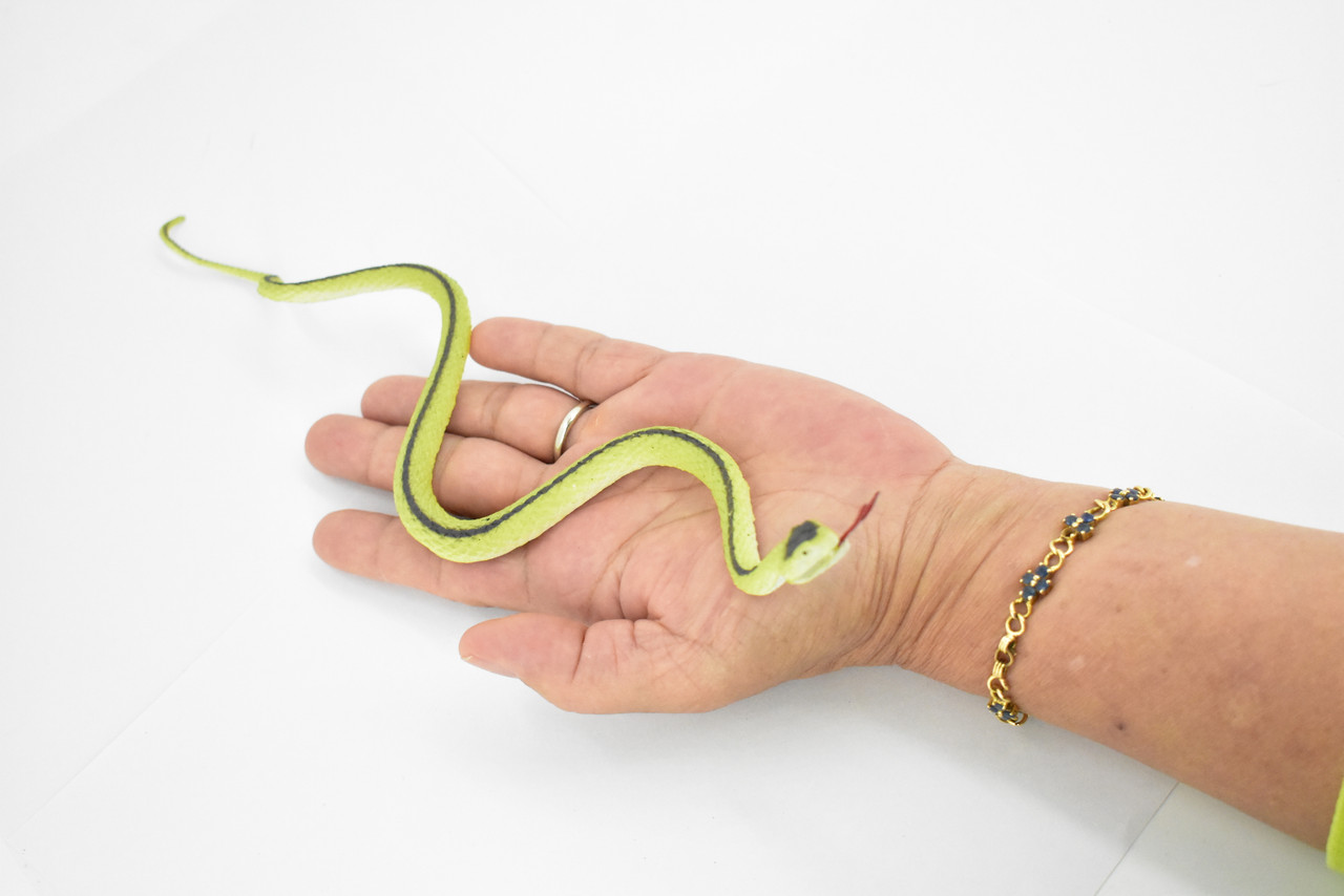 Snake, Green racer snake, Rubber Reptile, Educational, Realistic Hand Painted, Figure, Lifelike, Model, Figurine, Replica, Gift, Toy,     10"  F3599 B363