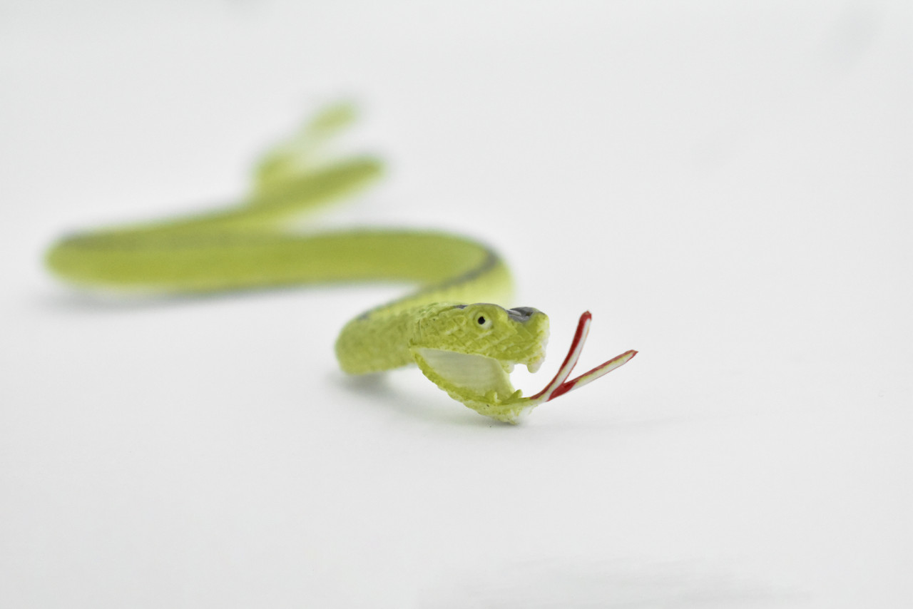 Green racer snake, Rubber Reptile, Educational, Realistic Hand Painted, Figure, Lifelike, Model, Figurine, Replica, Gift, Toy,     10 Inches     F3599 B363 