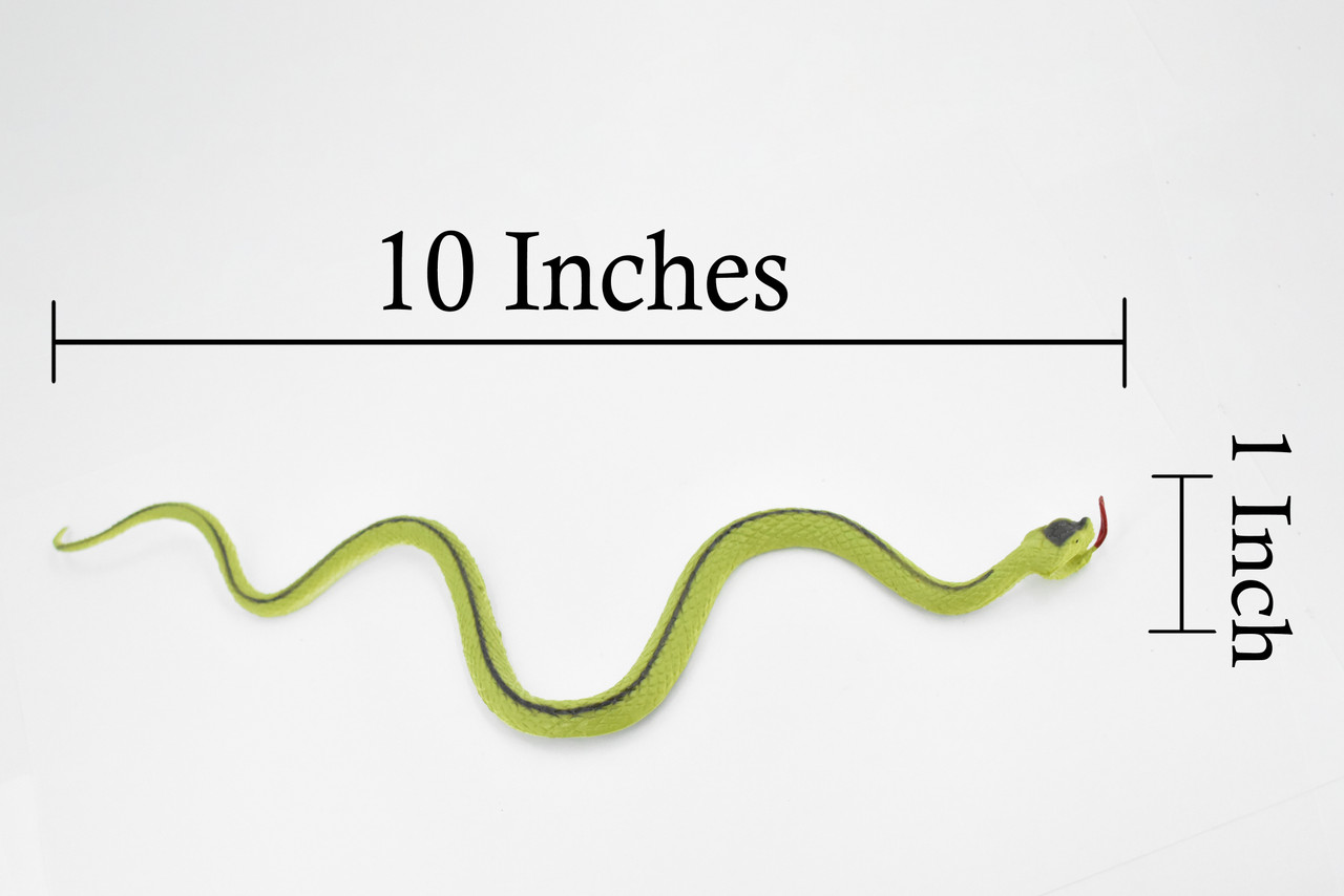 Green racer snake, Rubber Reptile, Educational, Realistic Hand Painted, Figure, Lifelike, Model, Figurine, Replica, Gift, Toy,     10 Inches