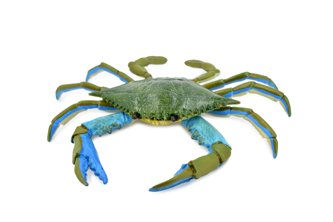 Crab, Blue Crab, Museum Quality, Rubber, Crustaceans, Educational, Realistic, Hand Painted, Figure, Lifelike Figurine, Replica, Gift,     7"      F4071 B135