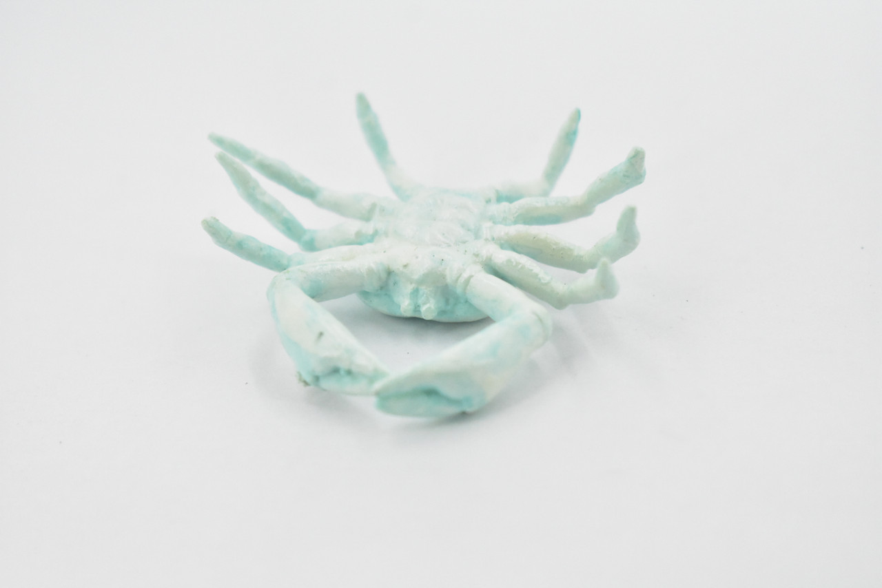 Crab, Cave, Rubber, Crustaceans, Educational, Realistic, Hand Painted, Figure, Lifelike Figurine, Replica, Gift,      2"      F764 B625                                                           