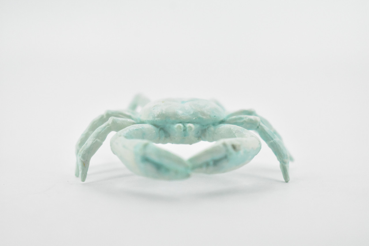 Crab, Cave, Rubber, Crustaceans, Educational, Realistic, Hand Painted, Figure, Lifelike Figurine, Replica, Gift,      2"      F764 B625                                                           