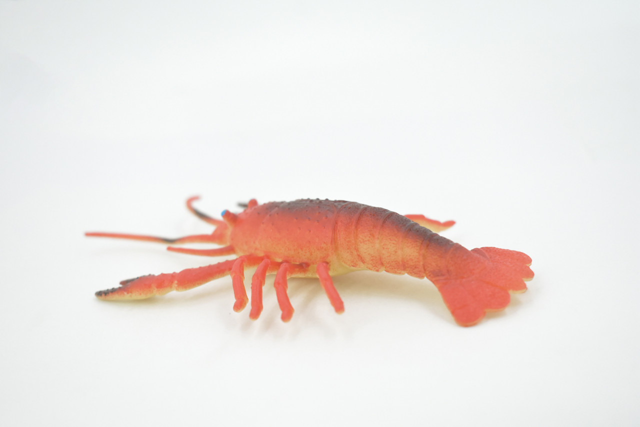 Lobster, Crayfish, Crawdad Design, Orange, Rubber Crustaceans, Educational, Figure, Lifelike, Model, Replica, Gift,     5"      F6002 B377