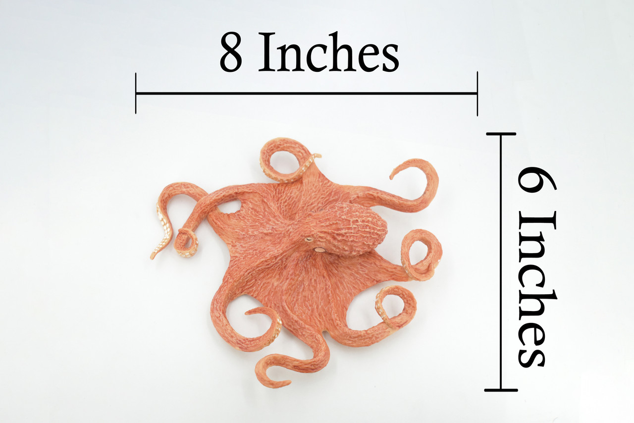 Octopus, Octopuses, Museum Quality, Soft Rubber, Octopodes, Educational ...
