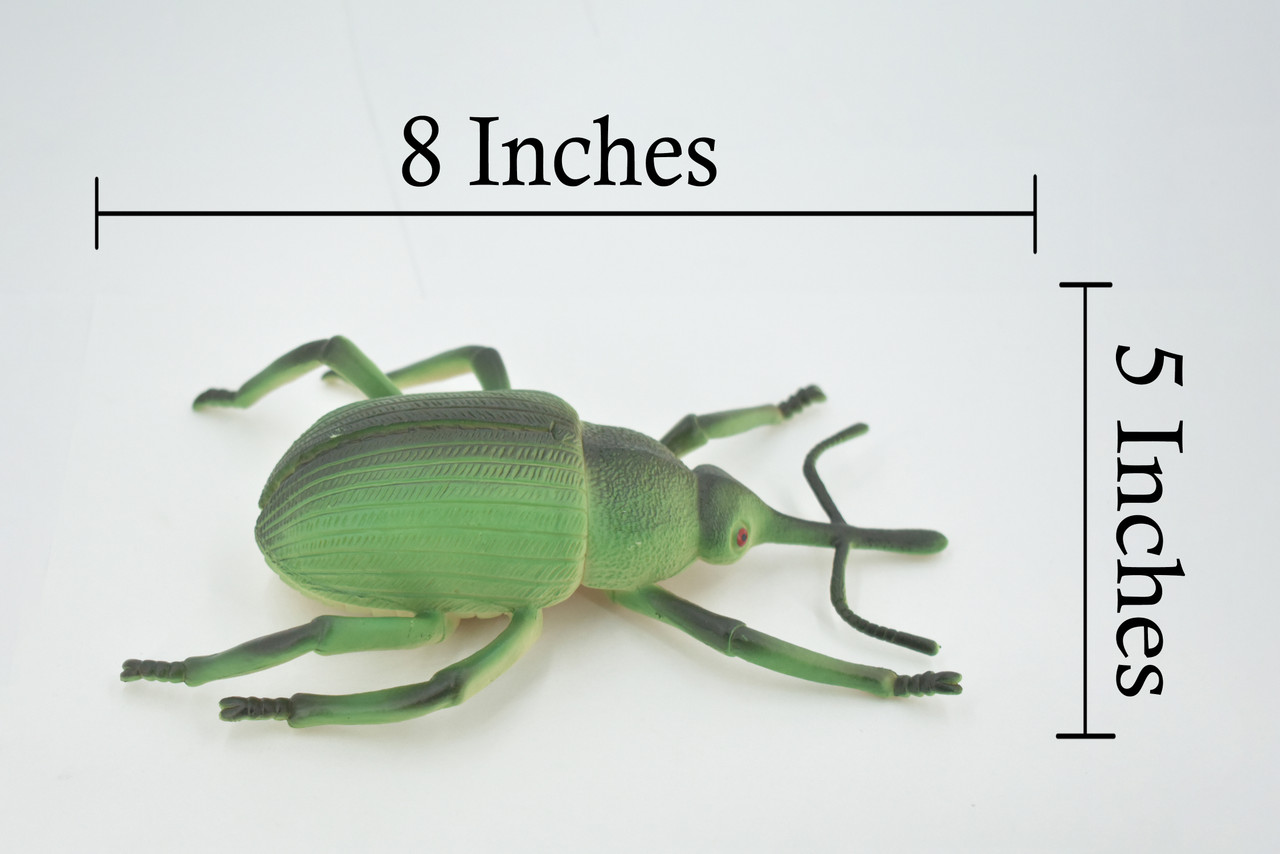 Beetle, Bearded Weevil, Rhinostomus barbirostris, Rubber Insect, Educational, Toy, Kids, Realistic Figure, Lifelike Model, Figurine, Replica, Gift,