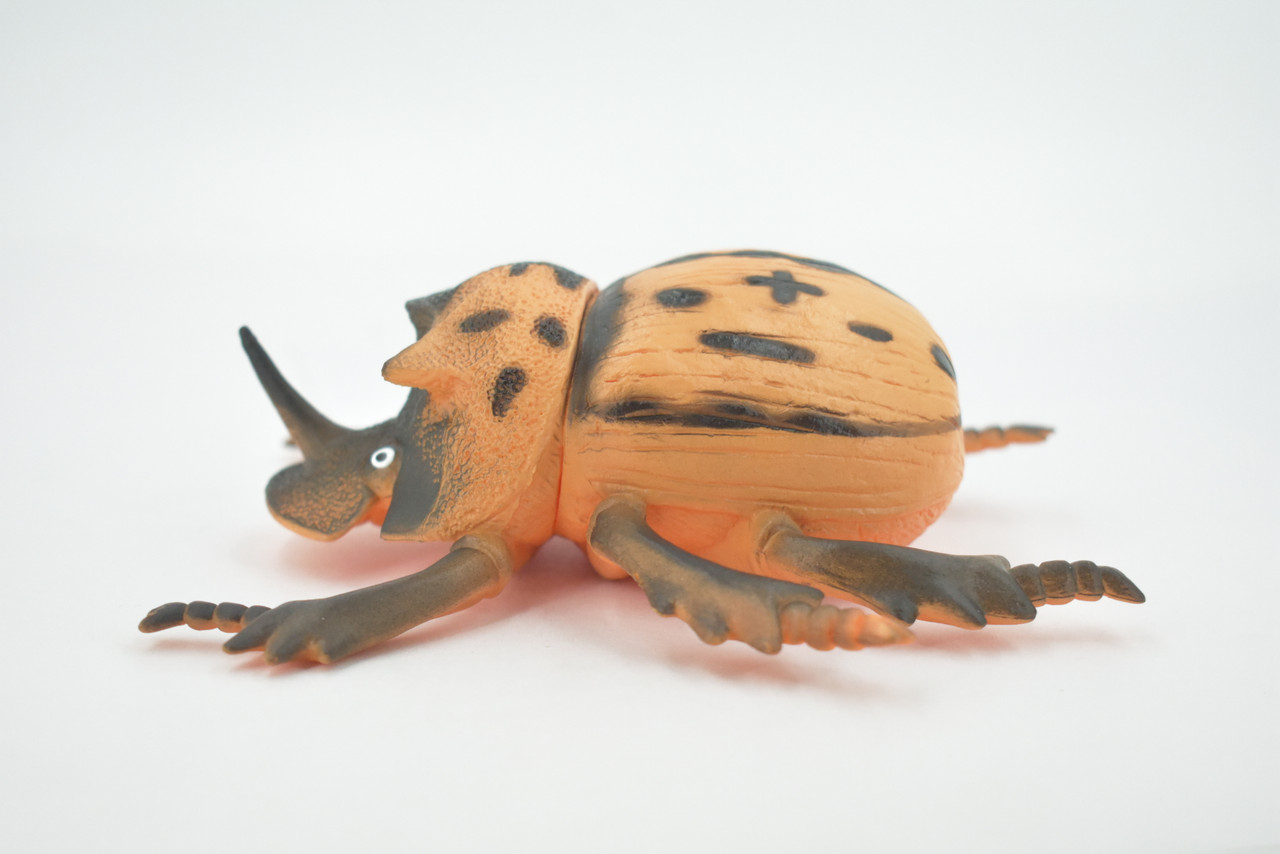 Beetle, Horned Rhino Beetle, Dynastinae, Rubber Insect, Educational, Toy, Kids, Realistic Figure, Lifelike Model, Figurine, Replica, Gift,     5"     ABC02 B493