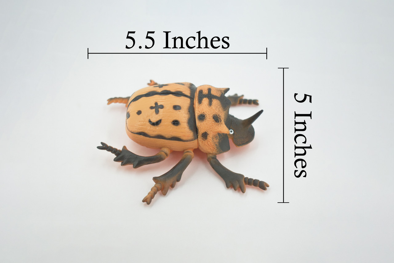 Beetle, Horned Rhino Beetle, Dynastinae, Rubber Insect, Educational, Toy, Kids, Realistic Figure, Lifelike Model, Figurine, Replica, Gift, 