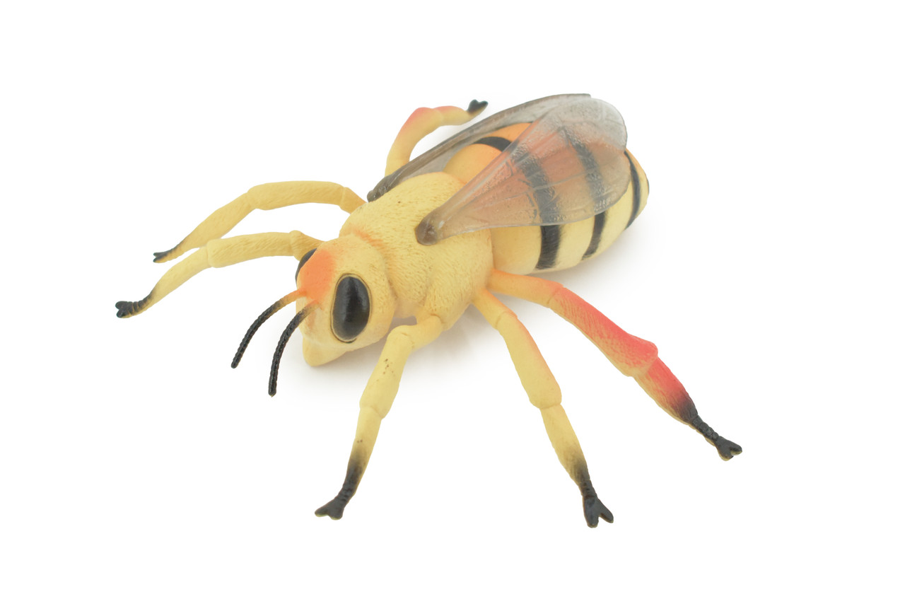 Bee, Bumblebee, Rubber Insect, Educational, Toy, Kids, Realistic Figure, Lifelike Model, Figurine, Replica, Gift,