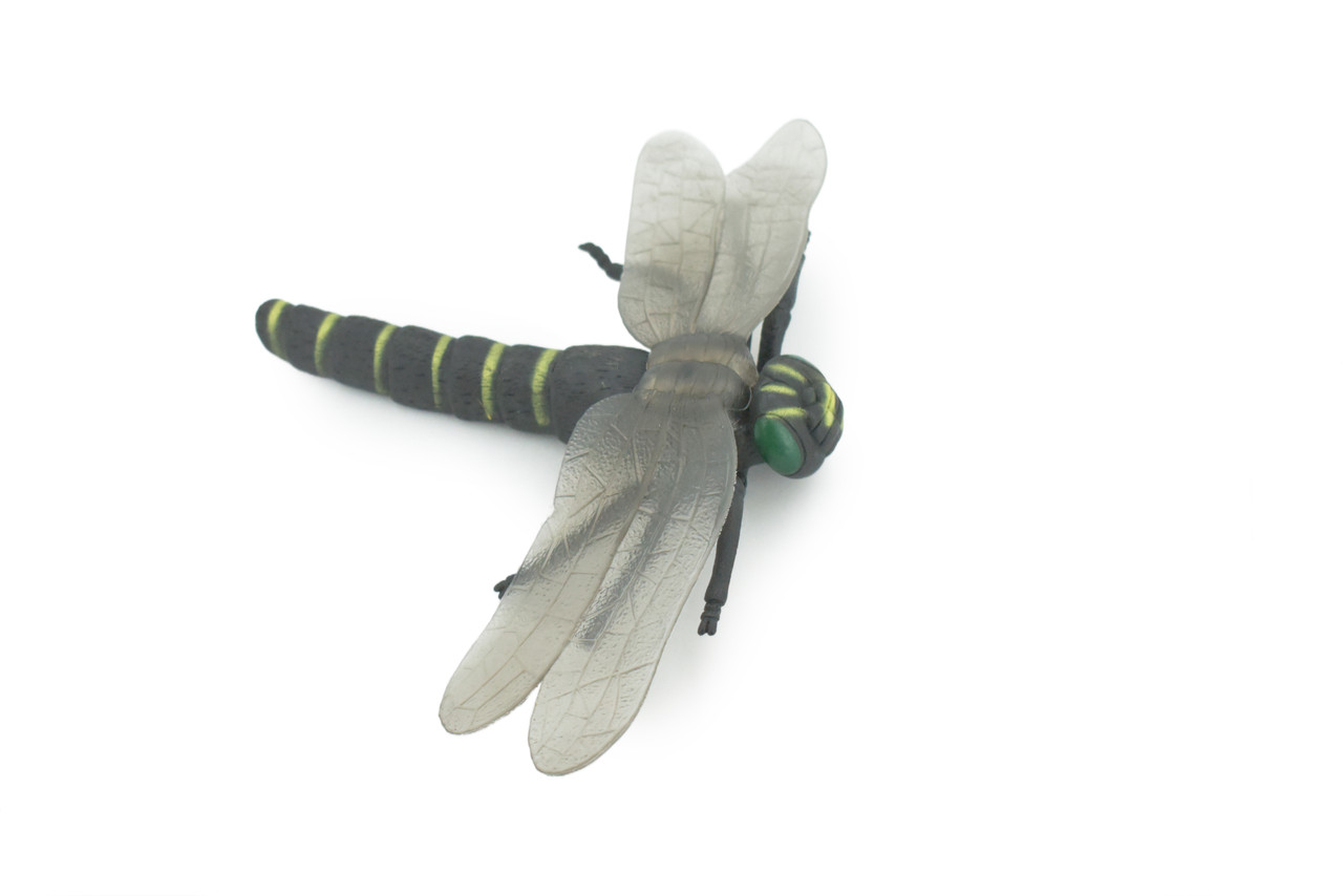 Dragon Fly, Golden-ringed Dragonfly, Rubber Insect, Educational, Toy, Kids, Realistic Figure, Lifelike Model, Figurine, Replica, Gift,      8"   ABC05 B262