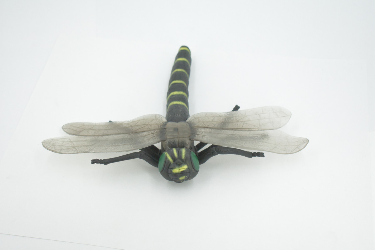 Dragon Fly, Golden-ringed Dragonfly, Rubber Insect, Educational, Toy, Kids, Realistic Figure, Lifelike Model, Figurine, Replica, Gift,      8"   ABC05 B262