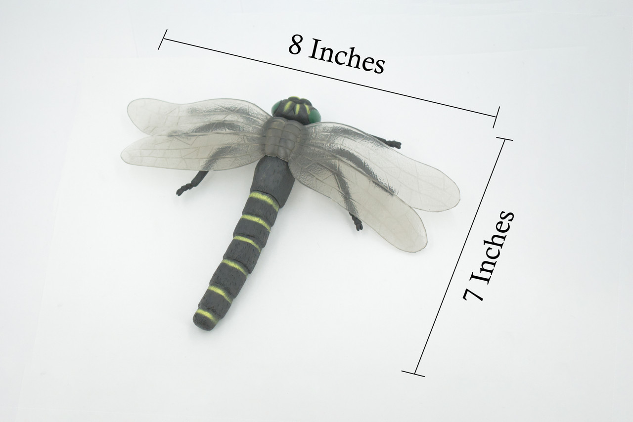 Dragon Fly, Golden-ringed Dragonfly, Rubber Insect, Educational, Toy, Kids, Realistic Figure, Lifelike Model, Figurine, Replica, Gift,      8"   ABC05 B262