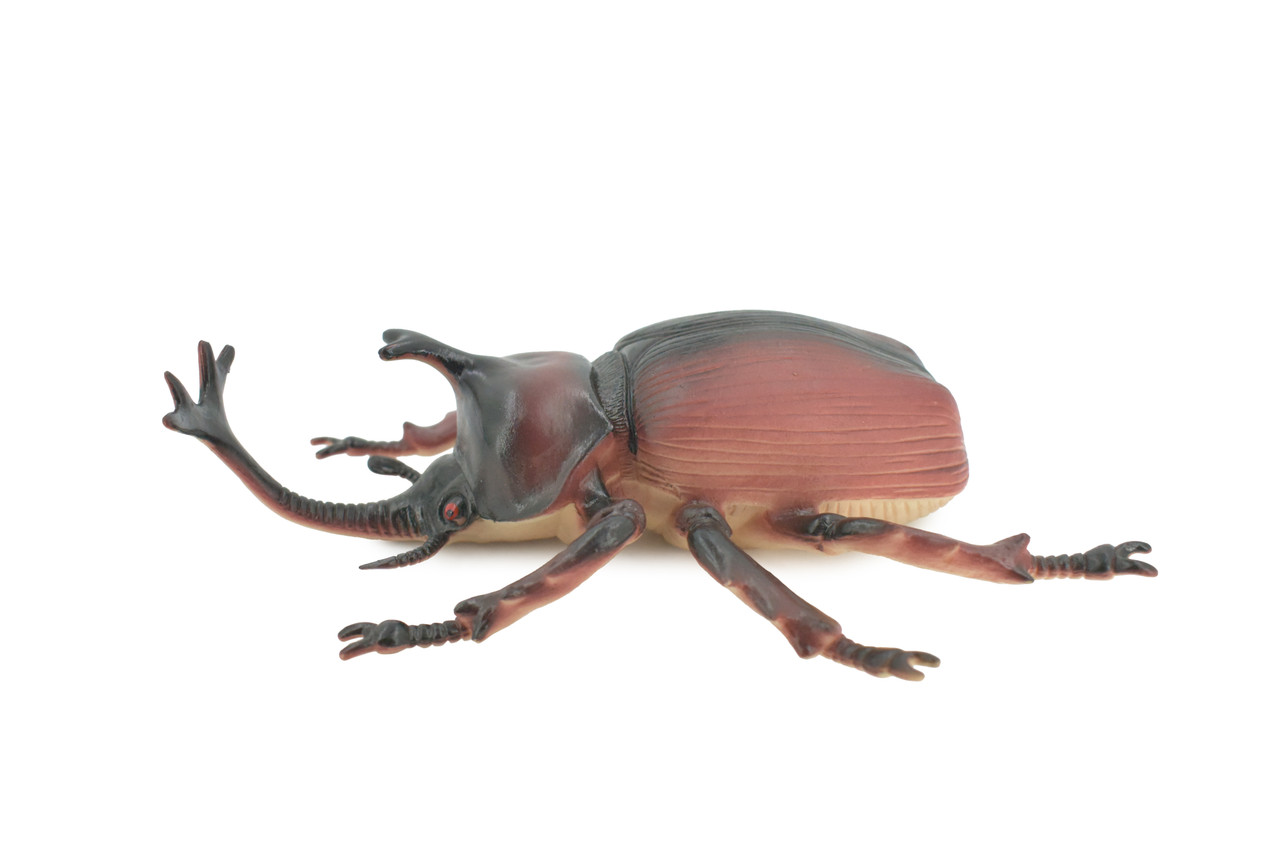 Beetle, Rhinoceros, Horned Stag Beetle, Dynastinae, Rubber Insect, Educational, Toy, Kids, Realistic Figure, Lifelike Model, Figurine, Replica, Gift