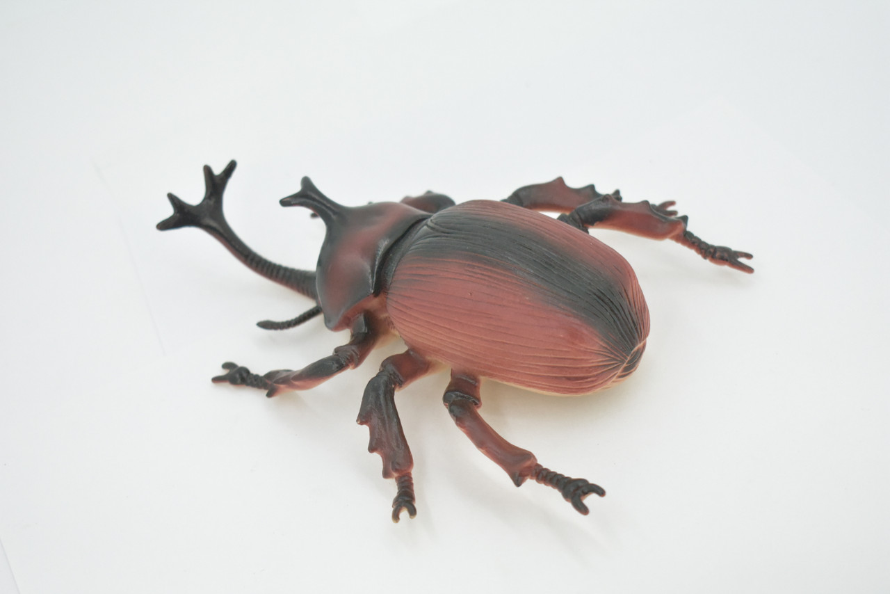Beetle, Rhinoceros, Horned Stag Beetle, Dynastinae, Rubber Insect, Educational, Toy, Kids, Realistic Figure, Lifelike Model, Figurine, Replica, Gift,     7"     ABC06 B262