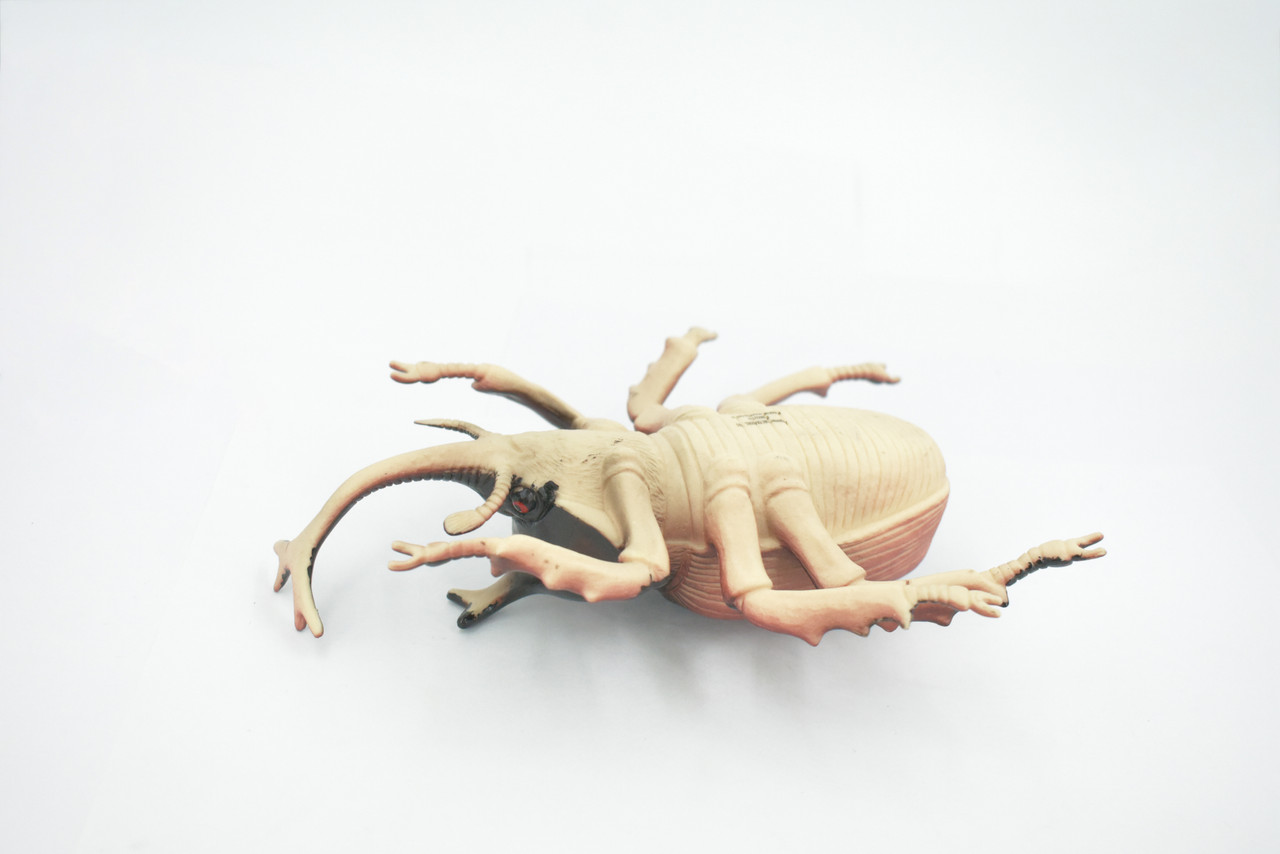 Beetle, Rhinoceros, Horned Stag Beetle, Dynastinae, Rubber Insect, Educational, Toy, Kids, Realistic Figure, Lifelike Model, Figurine, Replica, Gift,     7"     ABC06 B262