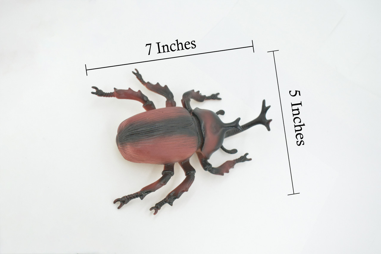 Beetle, Rhinoceros, Horned Stag Beetle, Dynastinae, Rubber Insect, Educational, Toy, Kids, Realistic Figure, Lifelike Model, Figurine, Replica, Gift