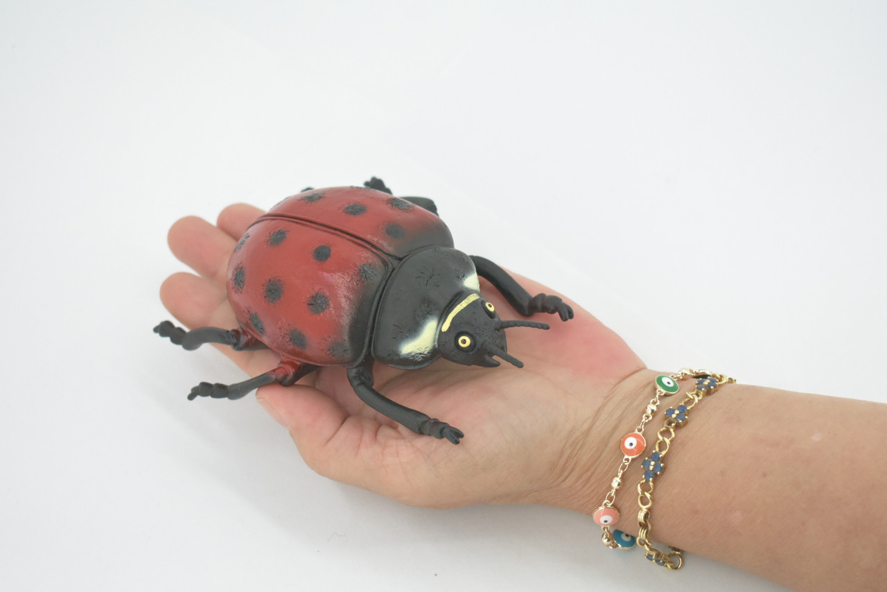 Ladybug, Beetle, Coccinellidae, Lady bug, Hand Painted, Rubber Insect, Educational, Toy, Kids, Realistic Figure, Lifelike Model, Figurine, Replica, Gift