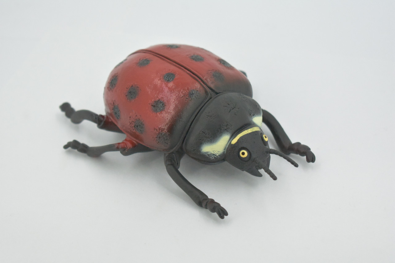 Ladybug, Beetle, Coccinellidae, Lady bug, Hand Painted, Rubber Insect, Educational, Toy, Kids, Realistic Figure, Lifelike Model, Figurine, Replica, Gift,    5"   ABC08 B262
