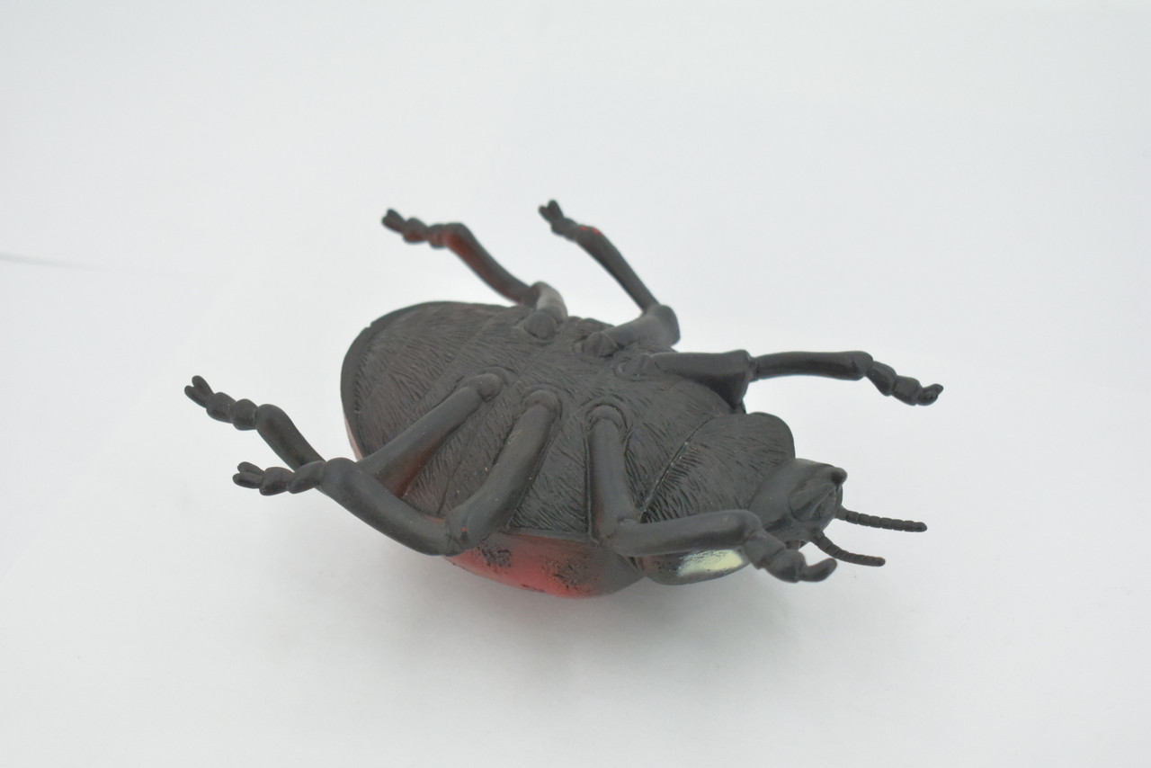 Ladybug, Beetle, Coccinellidae, Lady bug, Hand Painted, Rubber Insect, Educational, Toy, Kids, Realistic Figure, Lifelike Model, Figurine, Replica, Gift,    5"   ABC08 B262