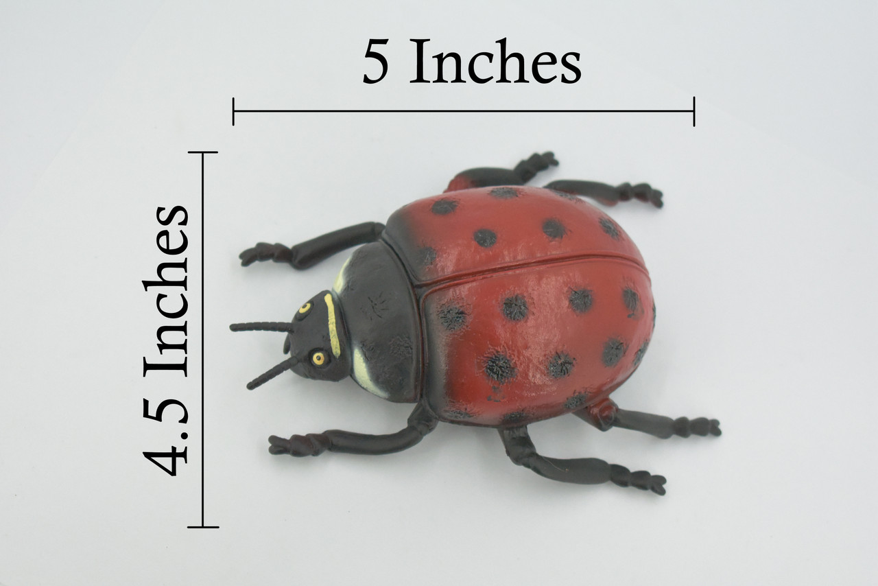 Ladybug, Beetle, Coccinellidae, Lady bug, Rubber Insect, Educational, Toy, Kids, Realistic Figure, Lifelike Model, Figurine, Replica, Gift,    5"   ABC08 B262