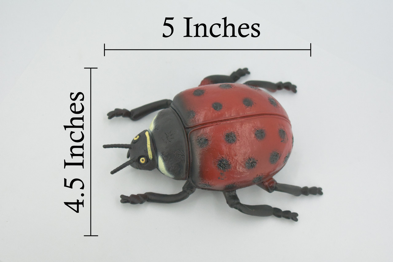 Ladybug, Beetle, Coccinellidae, Lady bug, Hand Painted, Rubber Insect, Educational, Toy, Kids, Realistic Figure, Lifelike Model, Figurine, Replica, Gift