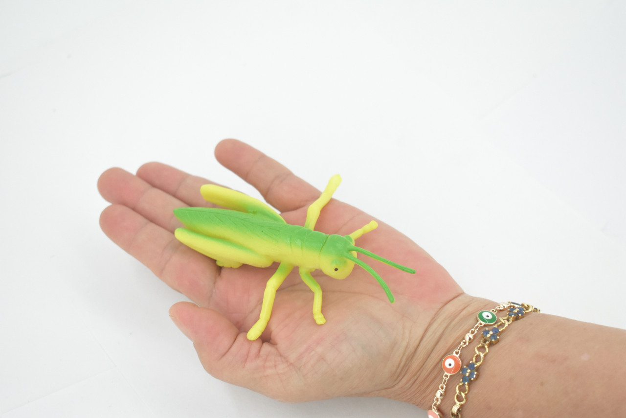 Grasshopper, Locusts, Rubber Insect, Realistic Figure, Lifelike, Model, Replica, Toy, Kids, Educational, Gift,     4 1/2"    ABC10 B263