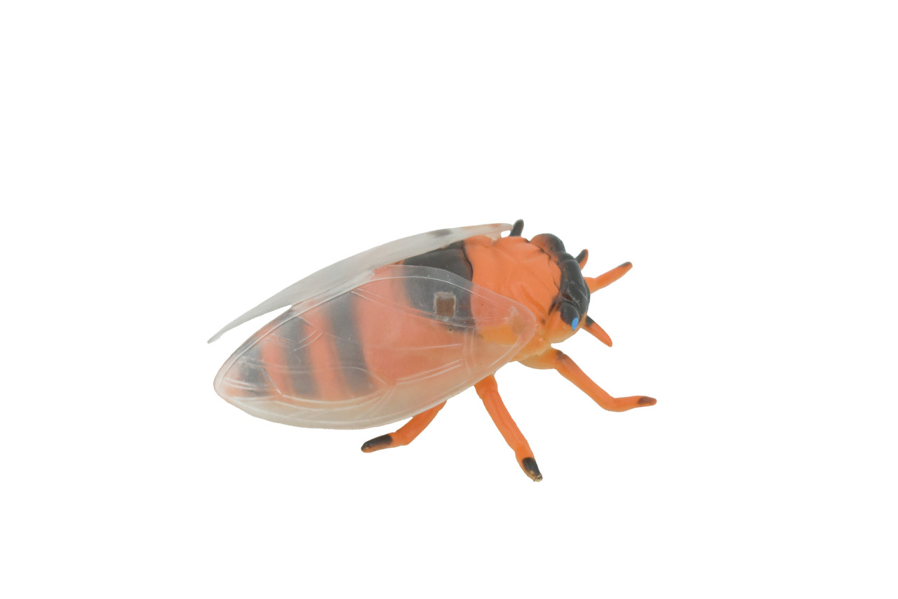 Cicada, Cicadas, Cicadoidea, Solid Rubber Insect, Educational, Toy, Kids, Realistic Figure, Lifelike Model, Figurine, Replica, Gift,      4"     ABC11 B263