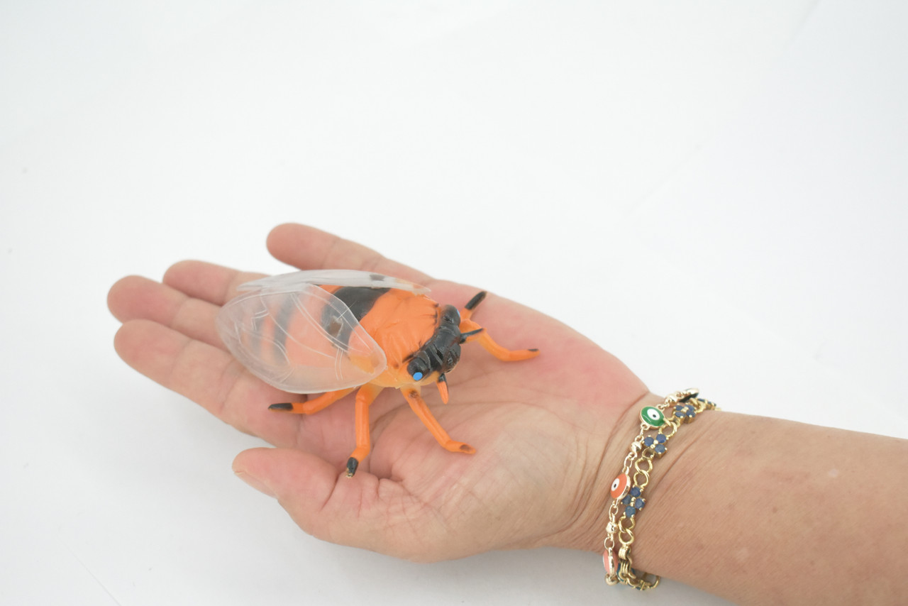 Cicada, Cicadas, Cicadoidea, Solid Rubber Insect, Educational, Toy, Kids, Realistic Figure, Lifelike Model, Figurine, Replica, Gift,      4"     ABC11 B263