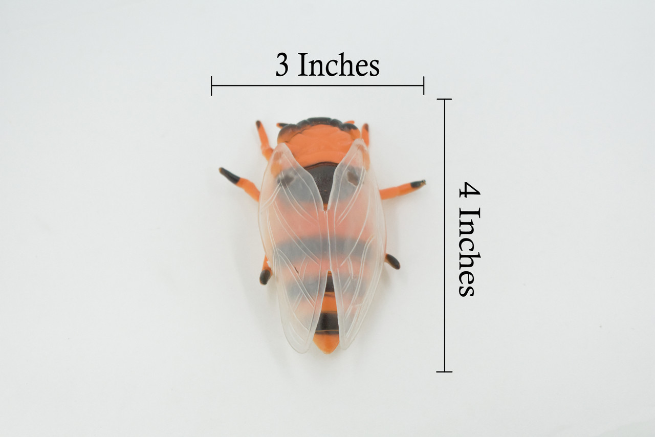Cicada, Cicadas, Cicadoidea, Solid Rubber Insect, Educational, Toy, Kids, Realistic Figure, Lifelike Model, Figurine, Replica, Gift,