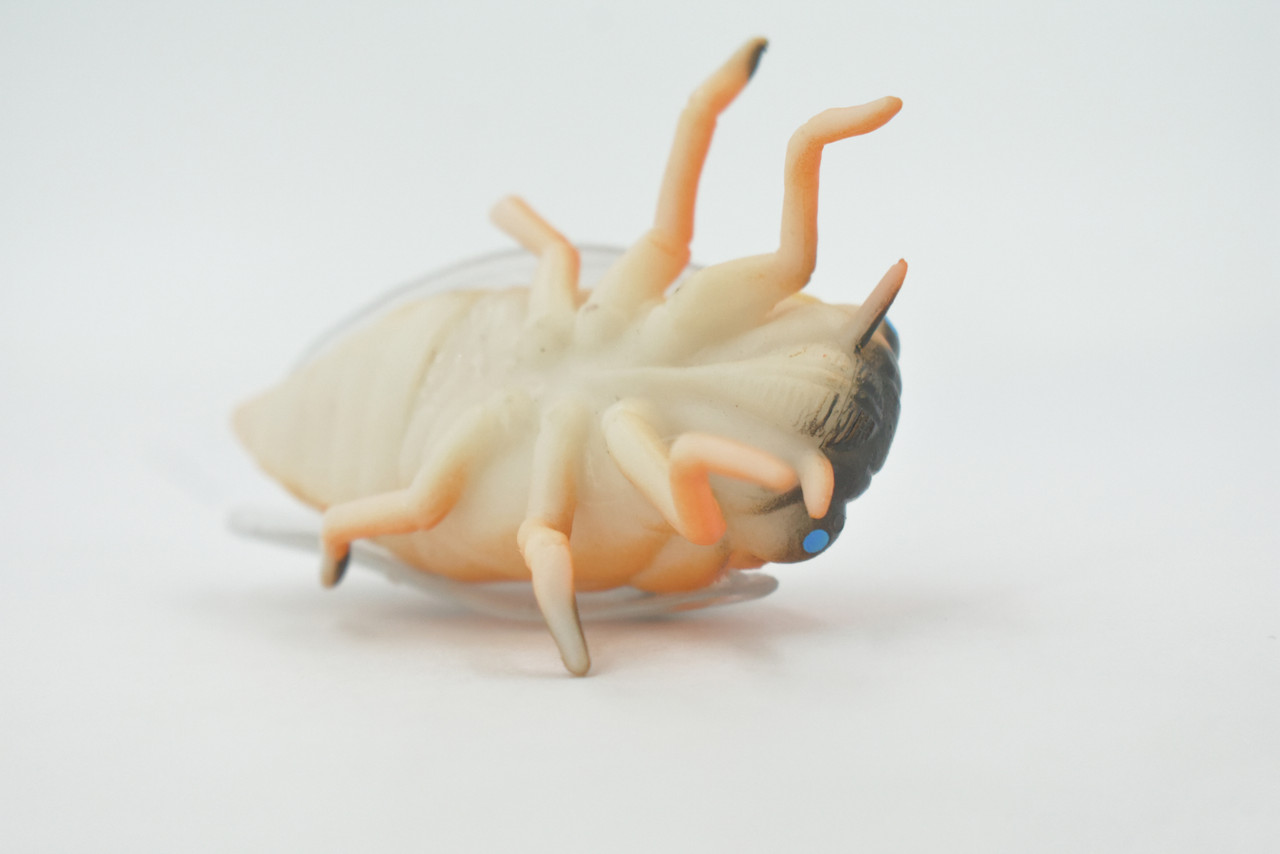 Cicada, Cicadas, Cicadoidea, Solid Rubber Insect, Educational, Toy, Kids, Realistic Figure, Lifelike Model, Figurine, Replica, Gift,      4"     ABC11 B263