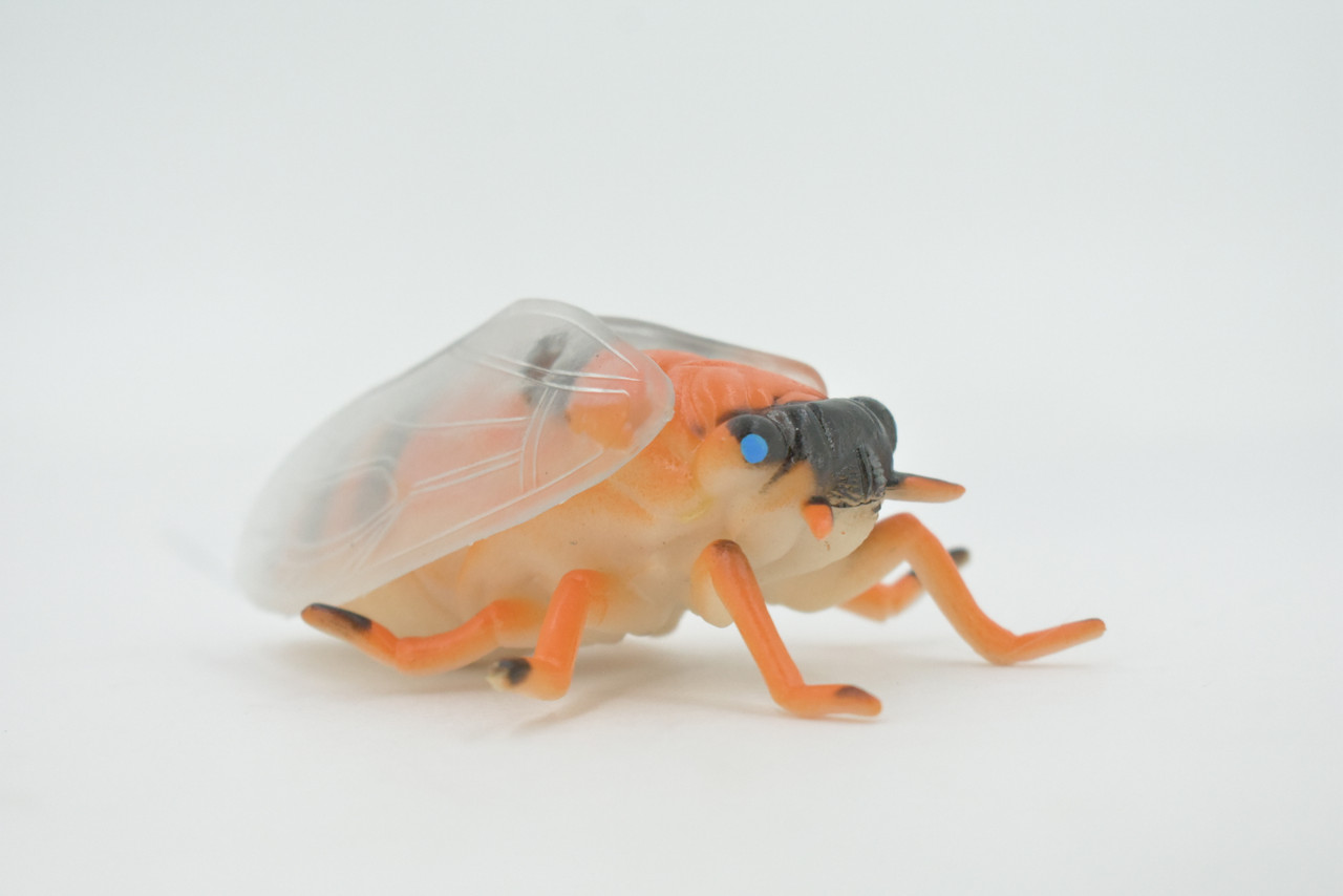 Cicada, Cicadas, Cicadoidea, Solid Rubber Insect, Educational, Toy, Kids, Realistic Figure, Lifelike Model, Figurine, Replica, Gift,      4"     ABC11 B263