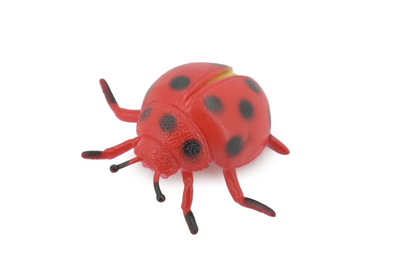 Ladybug, Beetle, Coccinellidae, Lady bug, Rubber Insect, Educational, Toy, Kids, Realistic Figure, Lifelike Model, Figurine, Replica, Gift, 