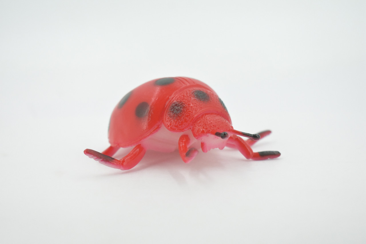 Ladybug, Beetle, Coccinellidae, Lady bug, Rubber Insect, Educational, Toy, Kids, Realistic Figure, Lifelike Model, Figurine, Replica, Gift,      3"     ABC12 B263