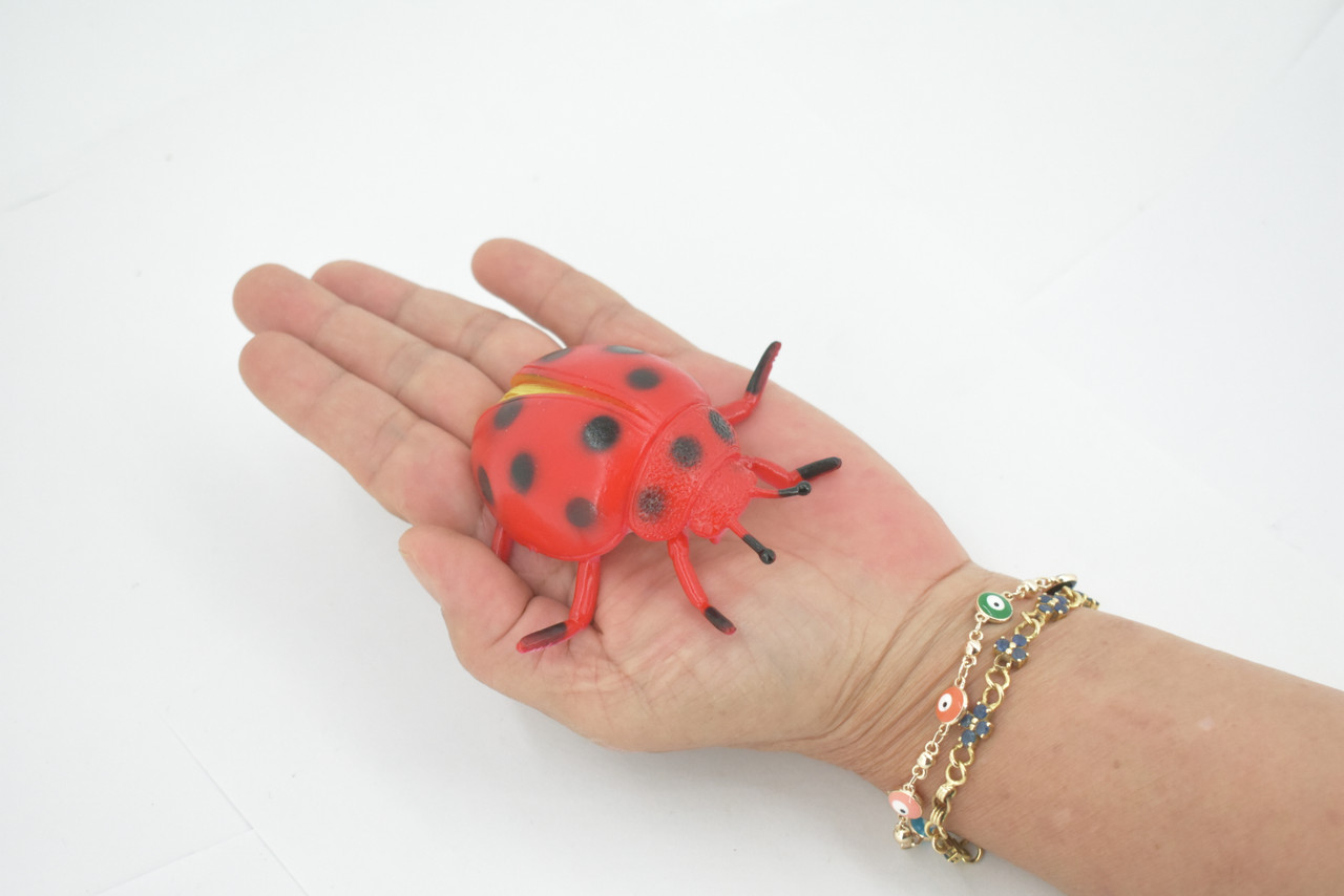 Ladybug, Beetle, Coccinellidae, Lady bug, Rubber Insect, Educational, Toy, Kids, Realistic Figure, Lifelike Model, Figurine, Replica, Gift, 