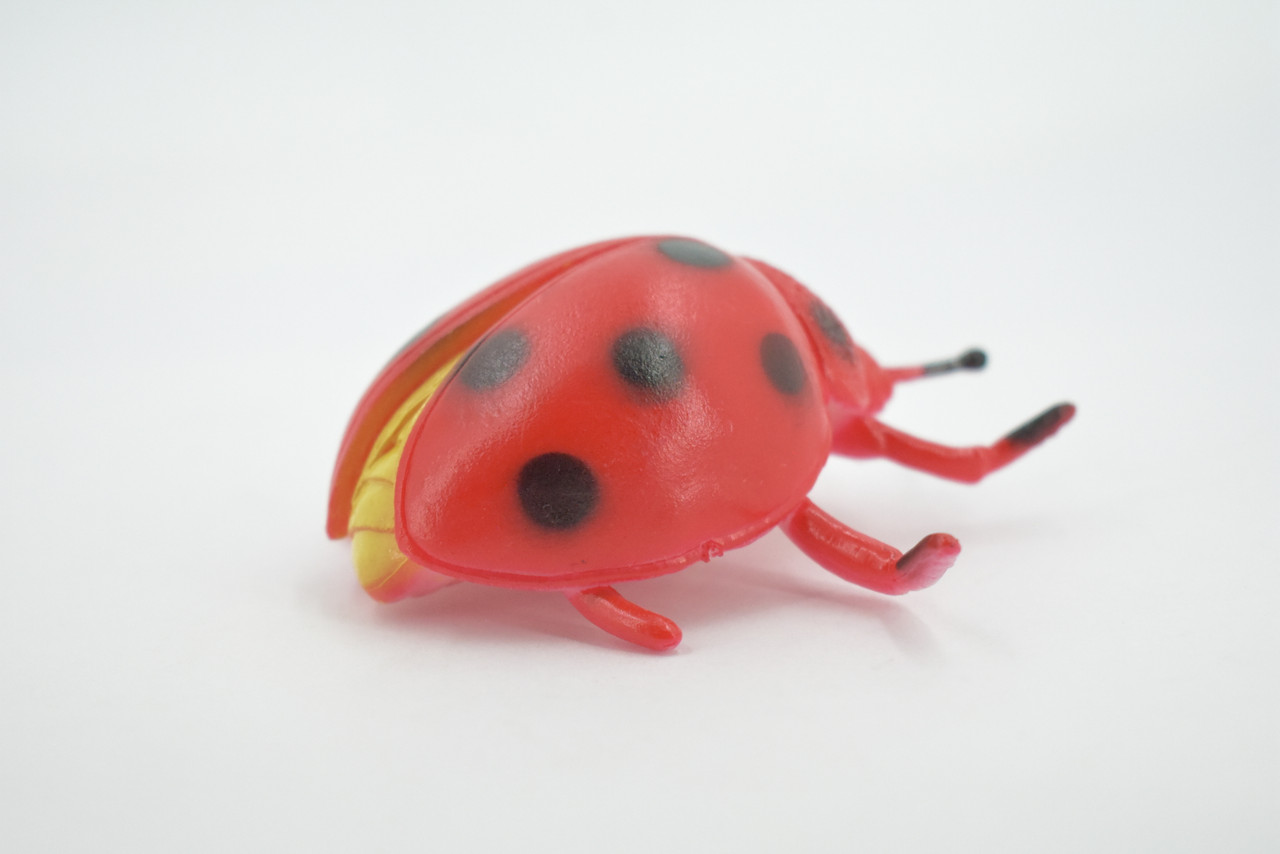 Ladybug, Beetle, Coccinellidae, Lady bug, Rubber Insect, Educational, Toy, Kids, Realistic Figure, Lifelike Model, Figurine, Replica, Gift,      3"     ABC12 B263