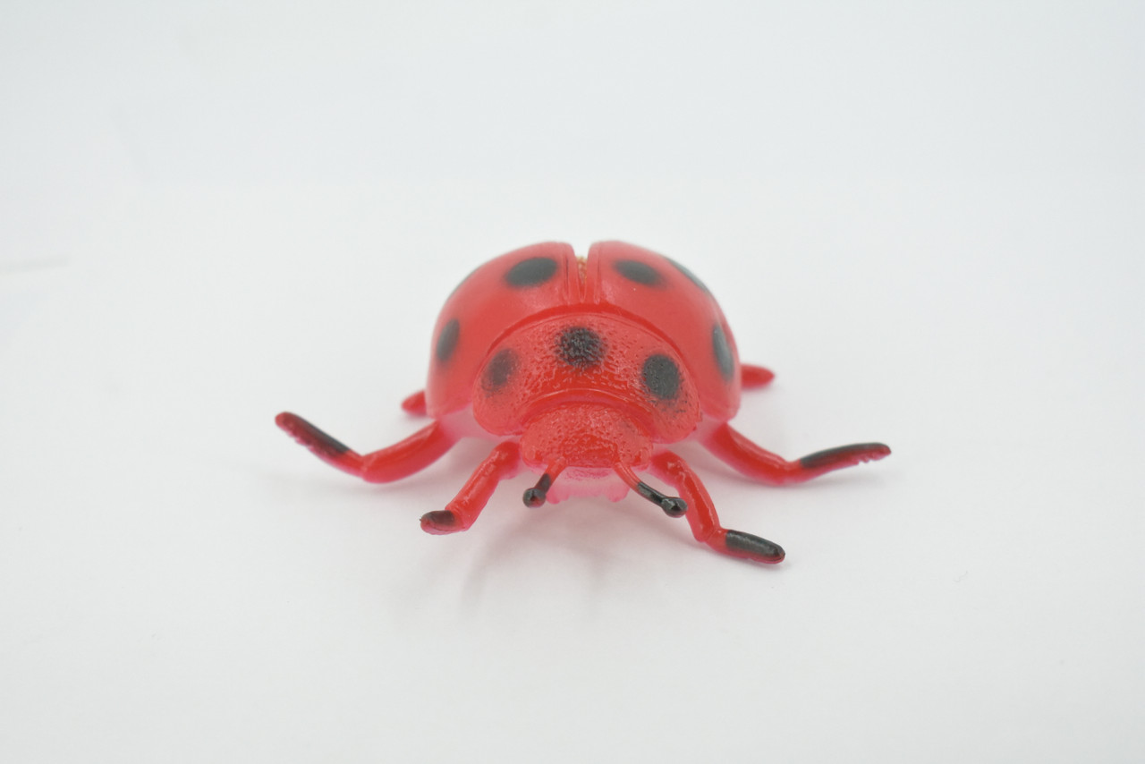 Ladybug, Beetle, Coccinellidae, Lady bug, Rubber Insect, Educational, Toy, Kids, Realistic Figure, Lifelike Model, Figurine, Replica, Gift,      3"     ABC12 B263