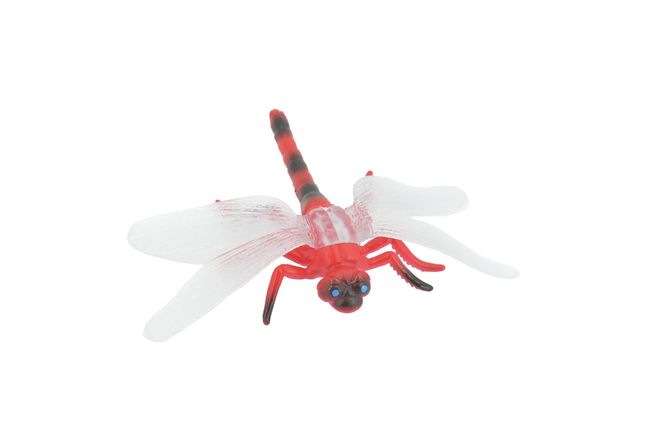 Dragon Fly, Red-veined Darter Dragonfly, Rubber Insect, Educational, Toy, Kids, Realistic Figure, Lifelike Model, Figurine, Replica, Gift,