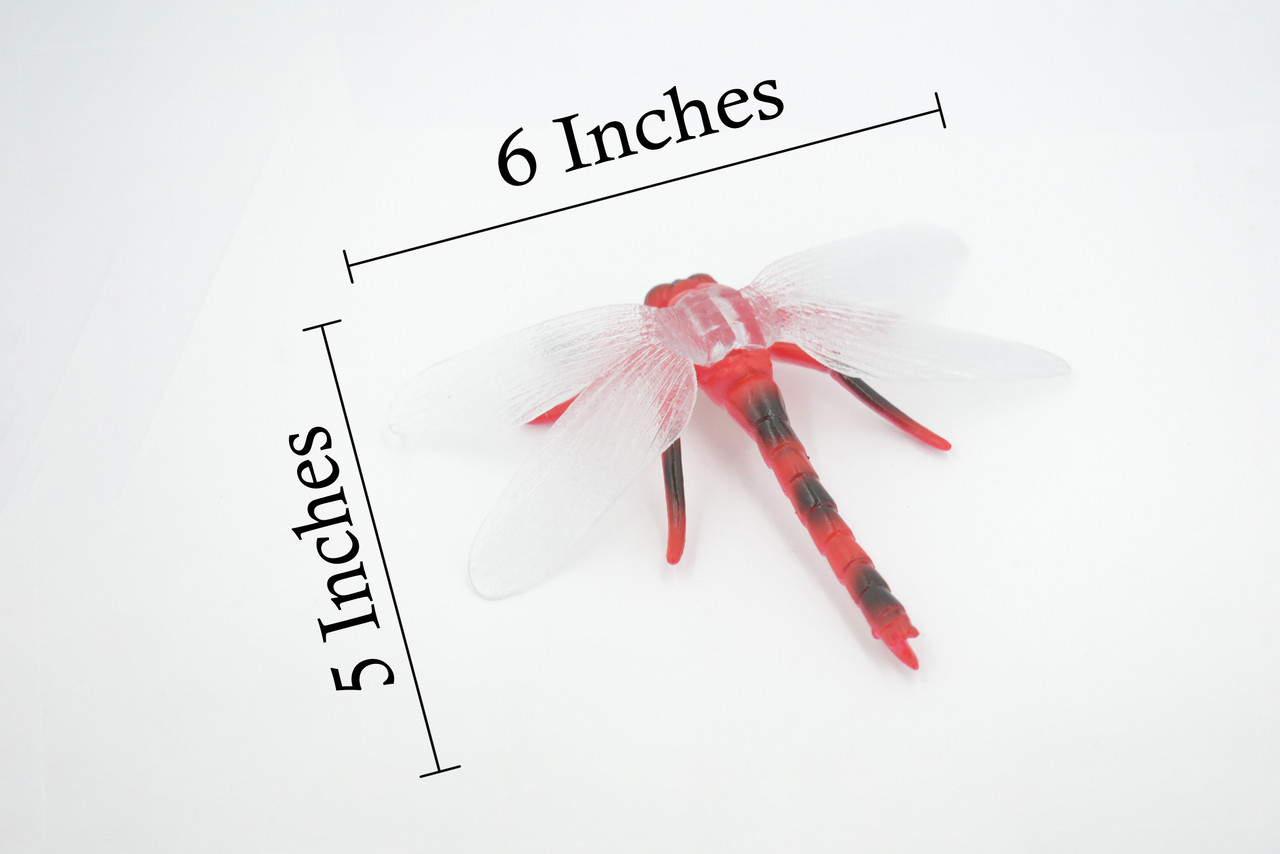 Dragon Fly, Red-veined Darter Dragonfly, Rubber Insect, Educational, Toy, Kids, Realistic Figure, Lifelike Model, Figurine, Replica, Gift,      5"    ABC13 B263