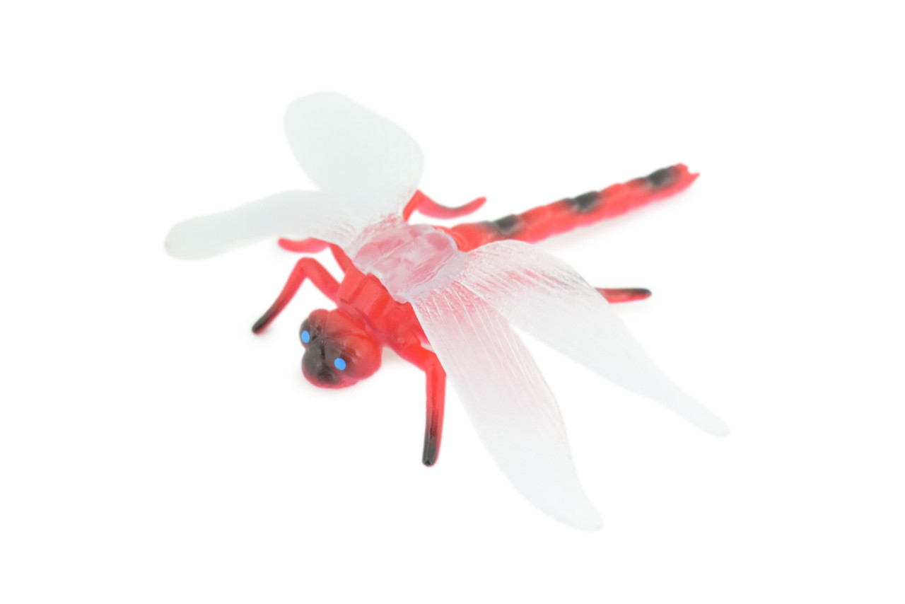 Dragon Fly, Red-veined Darter Dragonfly, Rubber Insect, Educational, Toy, Kids, Realistic Figure, Lifelike Model, Figurine, Replica, Gift,