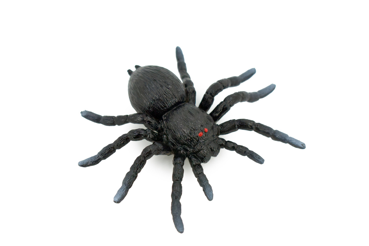 Spider, Tarantula, Theraphosidae, Solid Rubber Arachnids, Educational, Toy, Kids, Realistic Figure, Lifelike Model, Figurine, Replica, Gift,