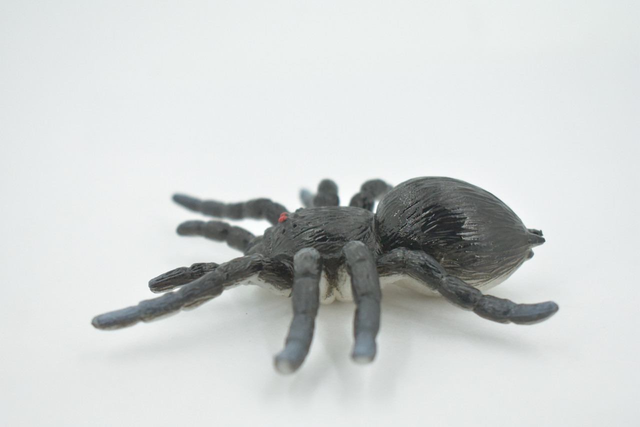 Spider, Tarantula, Theraphosidae, Solid Rubber Arachnids, Educational, Toy, Kids, Realistic Figure, Lifelike Model, Figurine, Replica, Gift,      4"     ABC16 B263