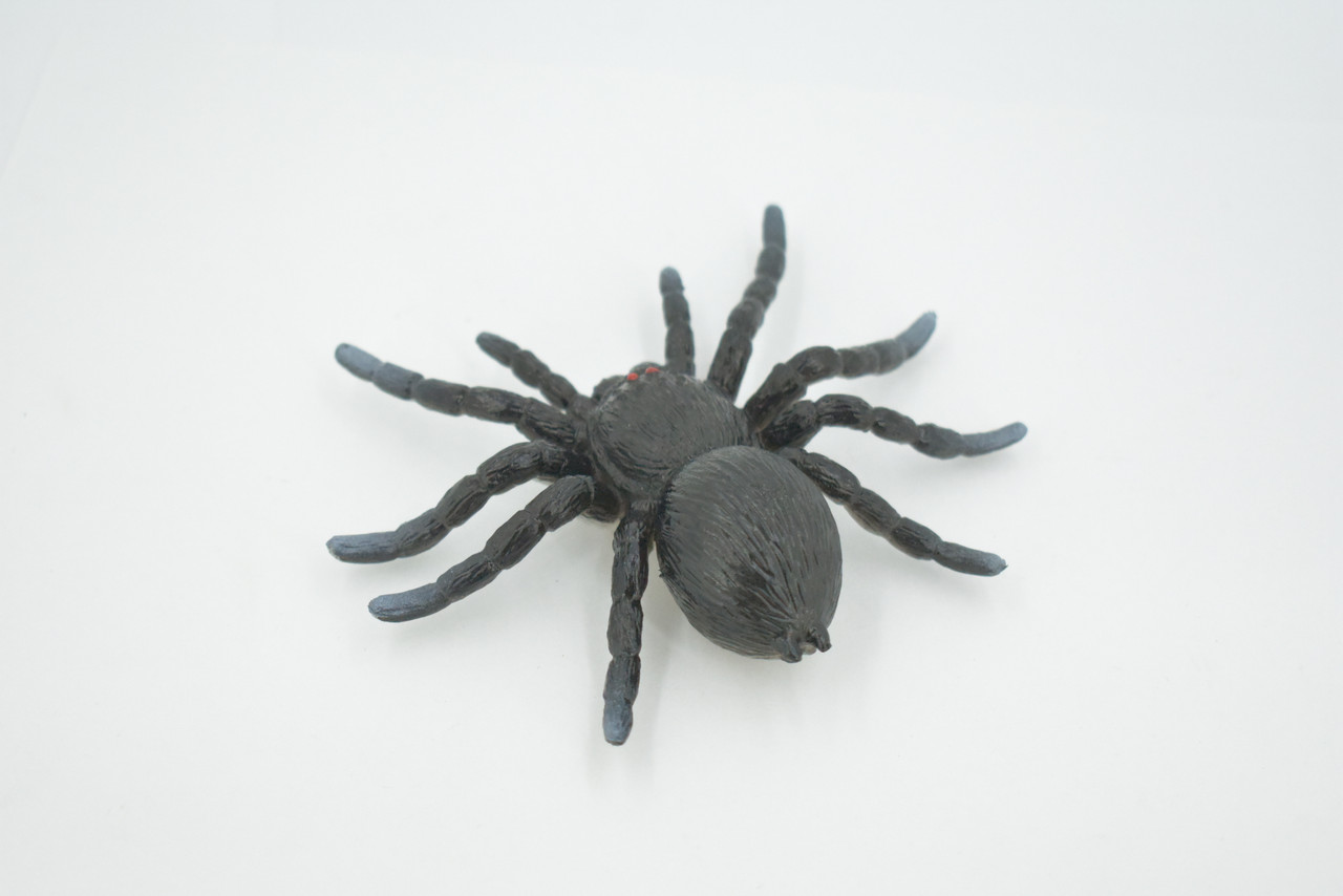 Spider, Tarantula, Theraphosidae, Solid Rubber Arachnids, Educational, Toy, Kids, Realistic Figure, Lifelike Model, Figurine, Replica, Gift,      4"     ABC16 B263