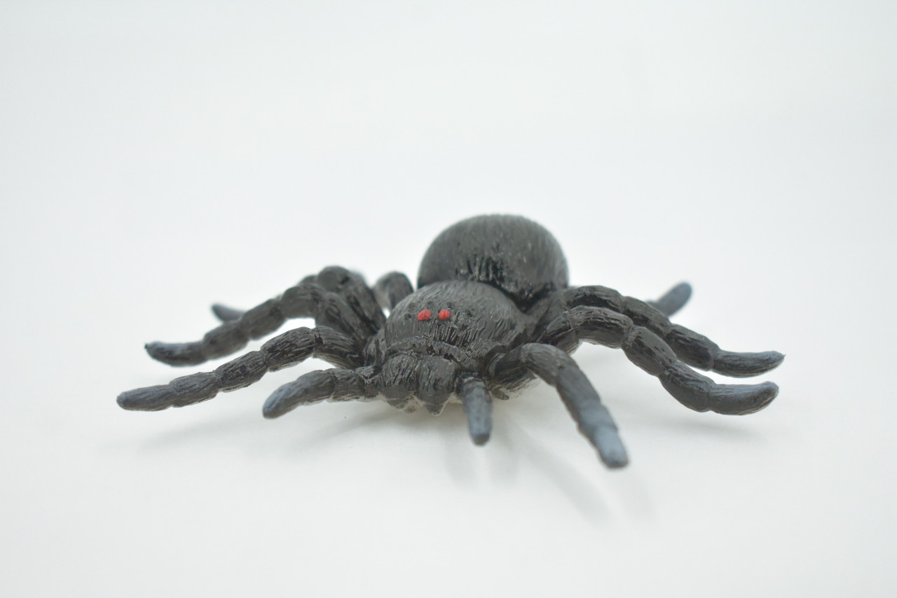 Spider, Tarantula, Theraphosidae, Solid Rubber Arachnids, Educational, Toy, Kids, Realistic Figure, Lifelike Model, Figurine, Replica, Gift,      4"     ABC16 B263