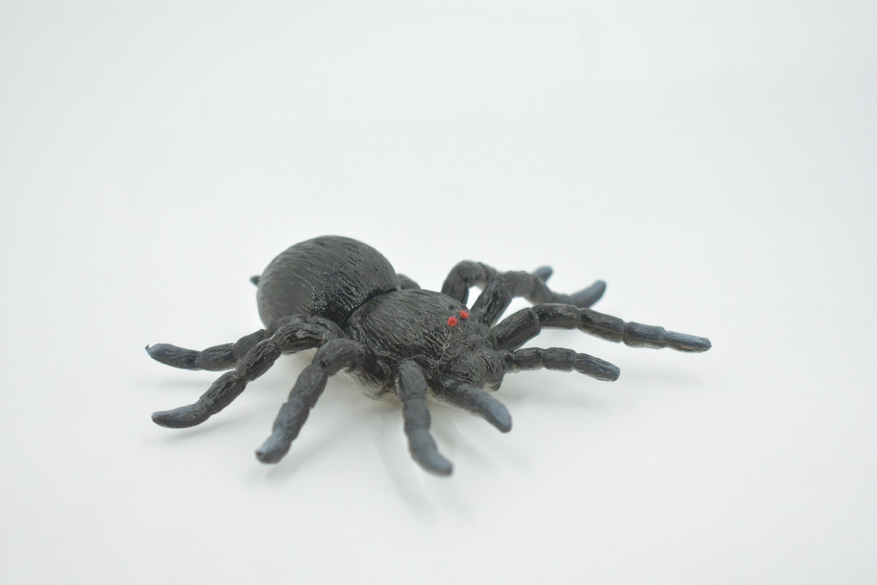 Spider, Tarantula, Theraphosidae, Solid Rubber Arachnids, Educational, Toy, Kids, Realistic Figure, Lifelike Model, Figurine, Replica, Gift,      4"     ABC16 B263
