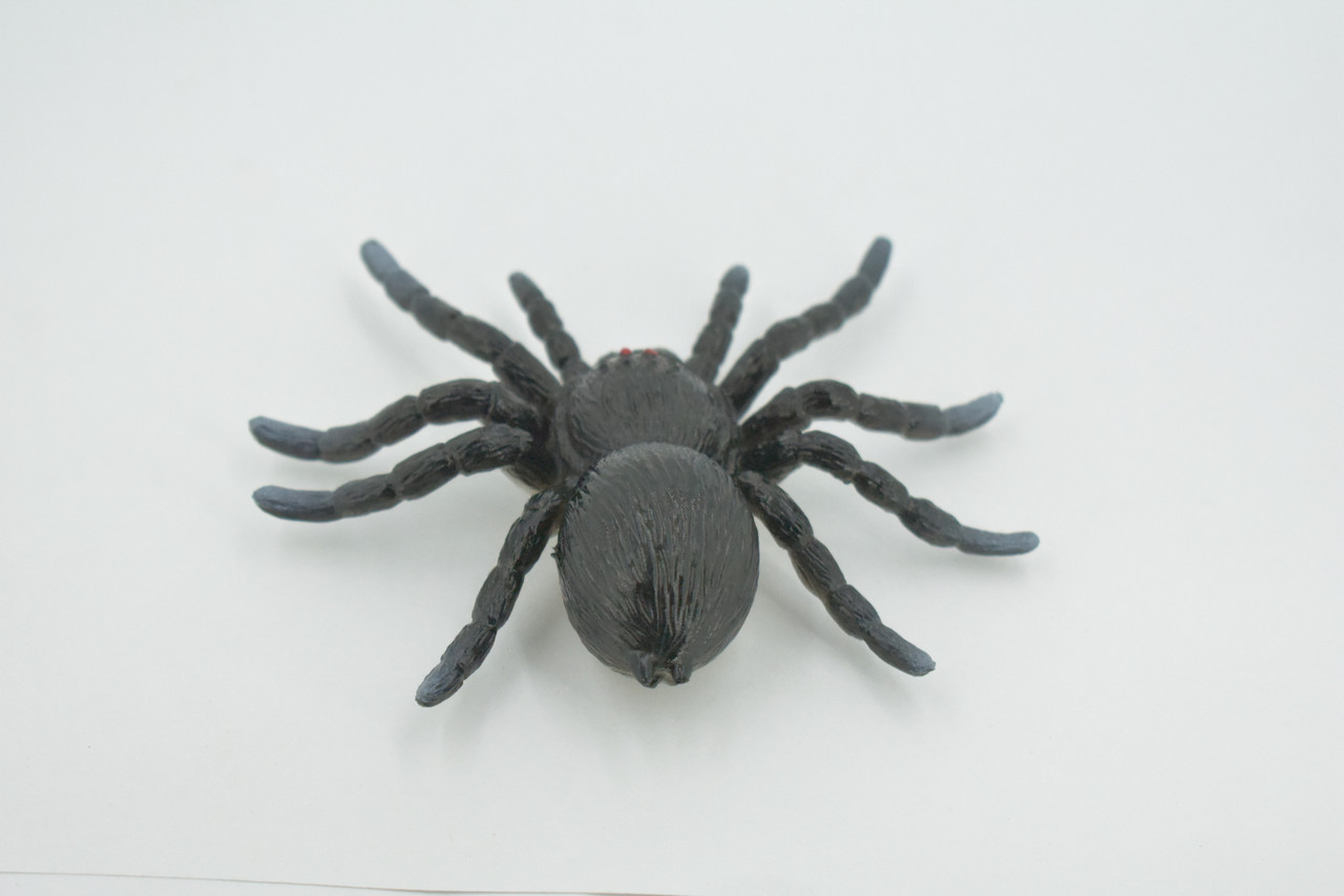 Spider, Tarantula, Theraphosidae, Solid Rubber Arachnids, Educational, Toy, Kids, Realistic Figure, Lifelike Model, Figurine, Replica, Gift,      4"     ABC16 B263